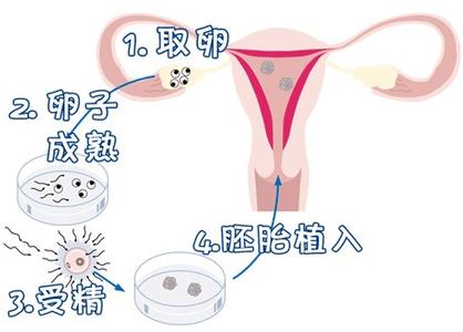 实验室环境